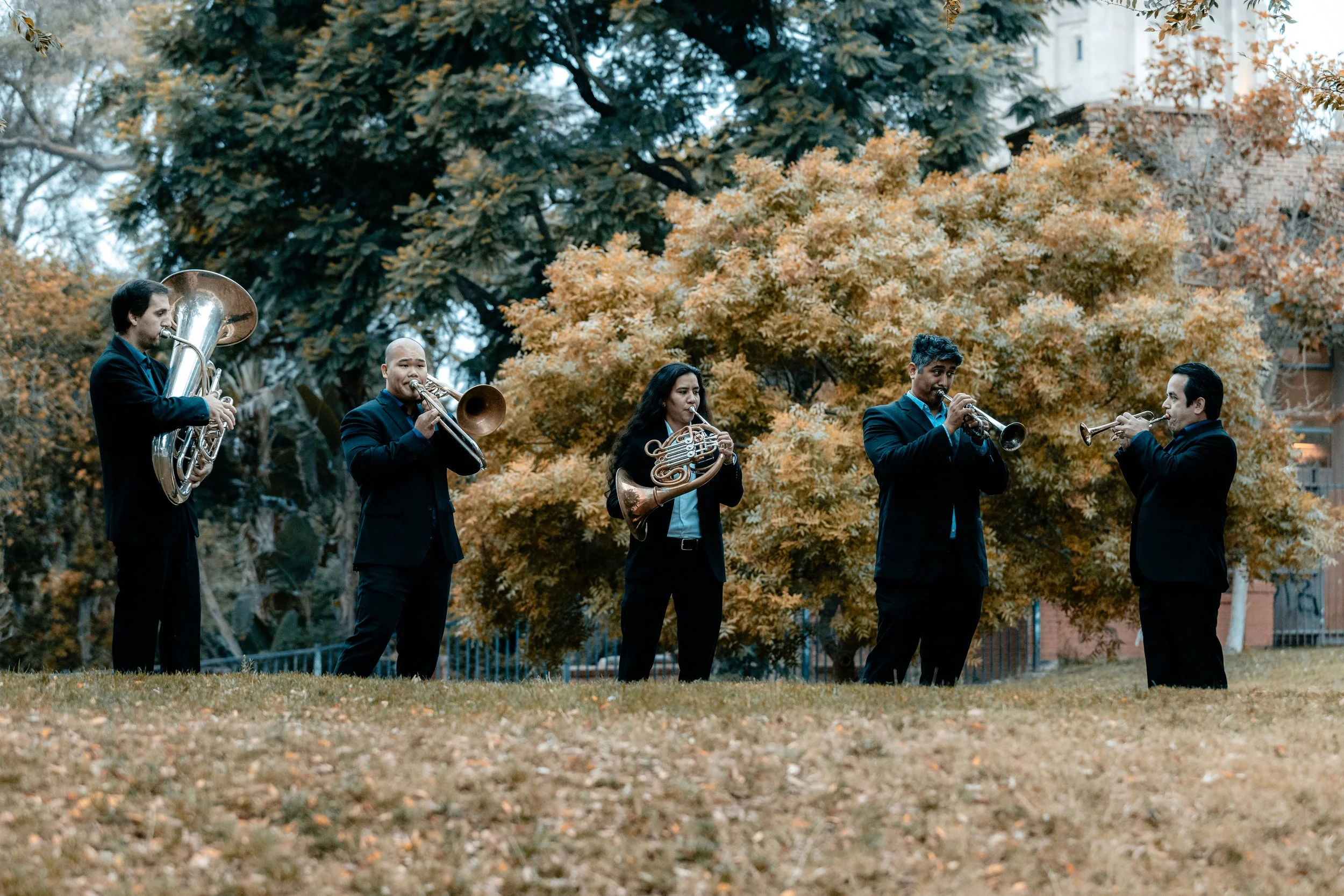 Brass Connection quintet portrait